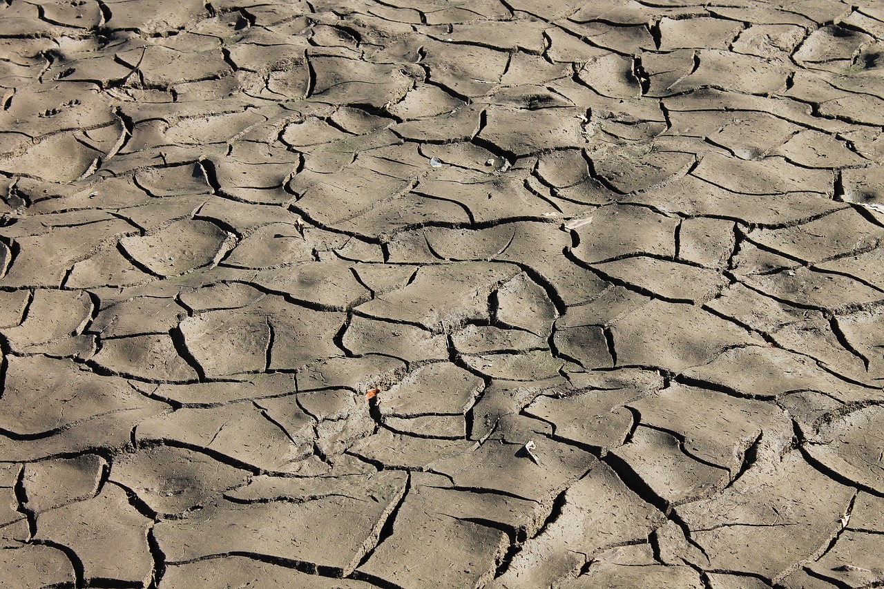 The Role of Architecture in Disaster Planning